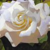 Aesthetic Gardenia Flower Art Diamond Painting