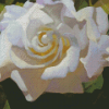 Aesthetic Gardenia Flower Art Diamond Painting