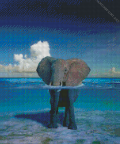 African Elephant In Water Diamond Painting