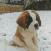 Baby St Bernard In Snow Diamond Painting