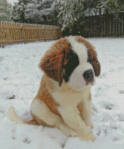 Baby St Bernard In Snow Diamond Painting