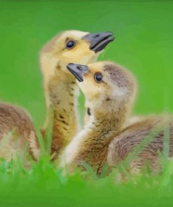 Beautiful Canada Geese Goslings Diamond Painting