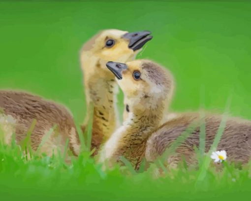 Beautiful Canada Geese Goslings Diamond Painting