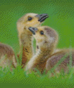 Beautiful Canada Geese Goslings Diamond Painting