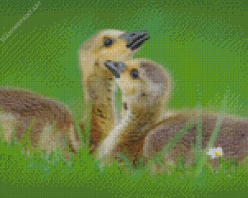 Beautiful Canada Geese Goslings Diamond Painting