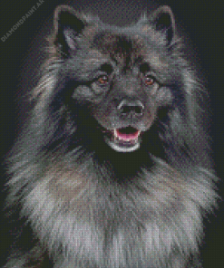 Black And Grey keeshond Diamond Painting