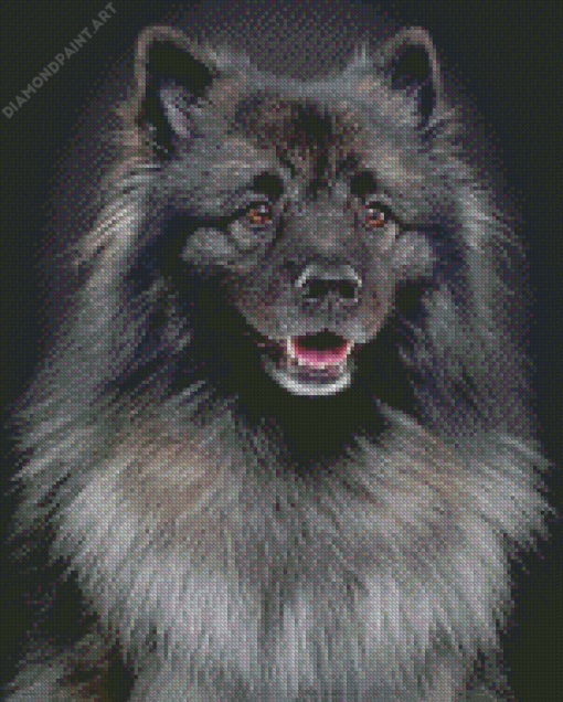 Black And Grey keeshond Diamond Painting