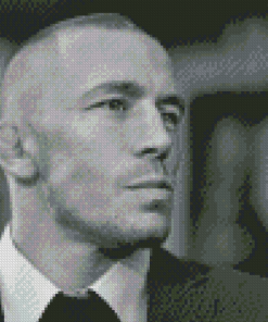 Black And White Georges St Pierre Diamond Painting