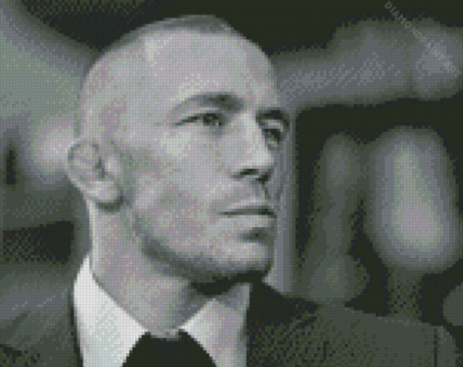 Black And White Georges St Pierre Diamond Painting