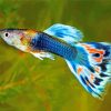 Bleu Guppy Fish Diamond Painting