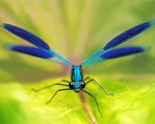 Blue Damsel Fly Diamond Painting