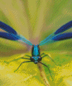 Blue Damsel Fly Diamond Painting