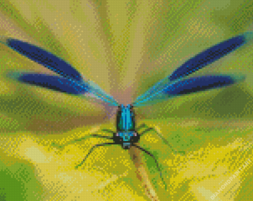 Blue Damsel Fly Diamond Painting