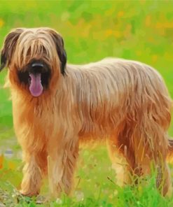 Briard Dog Animal Diamond Paintings