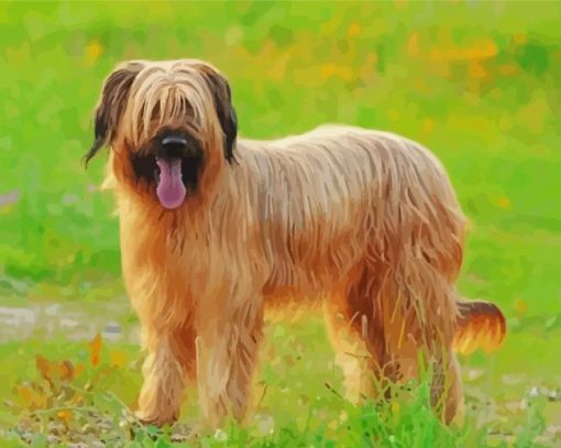 Briard Dog Animal Diamond Paintings