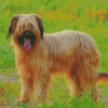 Briard Dog Animal Diamond Paintings