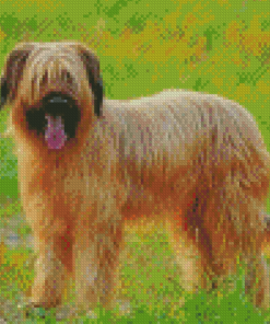 Briard Dog Animal Diamond Paintings