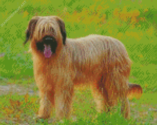 Briard Dog Animal Diamond Paintings