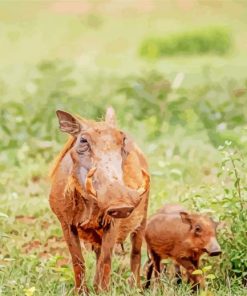 Brown Wild Hogs Diamond Paintings