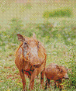 Brown Wild Hogs Diamond Paintings