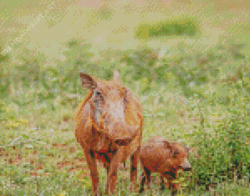 Brown Wild Hogs Diamond Paintings