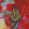 Butterfly On Red Lily Diamond Painting