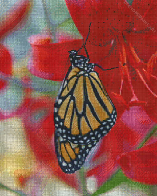 Butterfly On Red Lily Diamond Painting