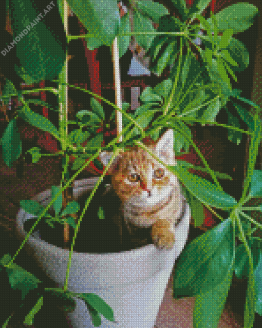 Cat Sitting On Potted Plant Diamond Paintings