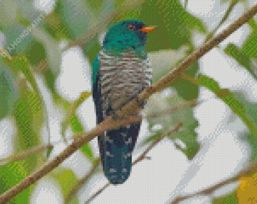 Close Up Asian Emerald Cuckoo Diamond Paintings