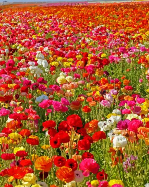 Colorful Flowers In Field Diamond Paintings