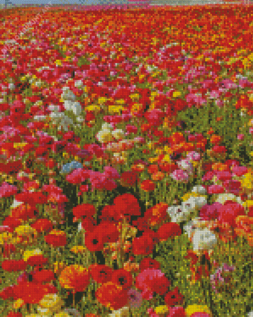 Colorful Flowers In Field Diamond Paintings