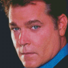 Cool Ray Liotta Diamond Paintings