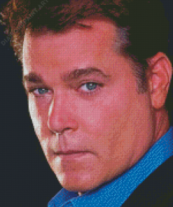 Cool Ray Liotta Diamond Paintings