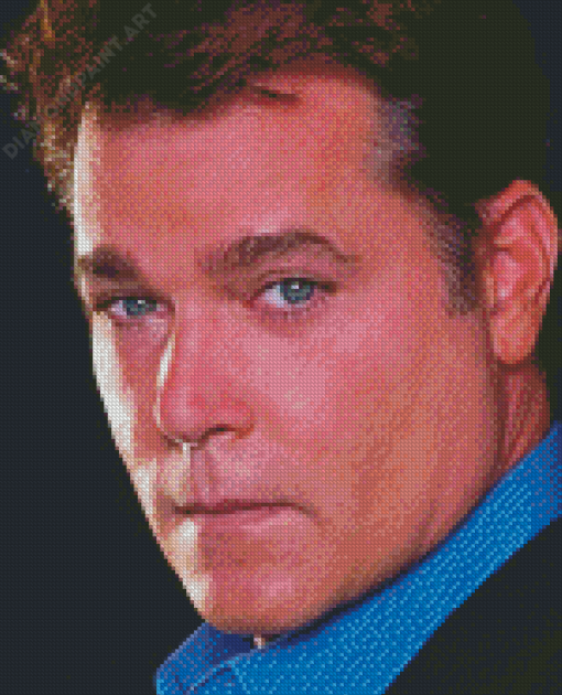 Cool Ray Liotta Diamond Paintings