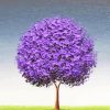 Cool Purple Tree Diamond Painting