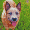 Cute Australia Cattle Dog Diamond Paintings