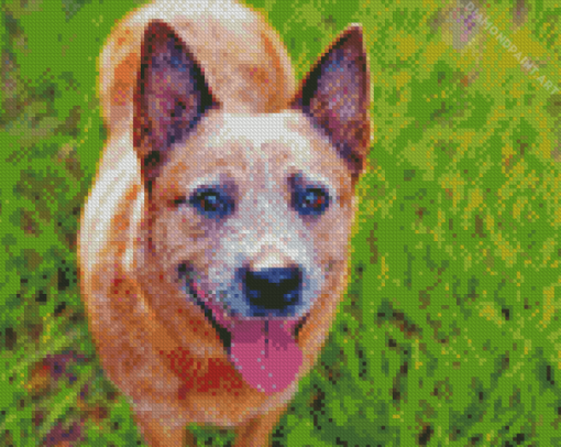 Cute Australia Cattle Dog Diamond Paintings