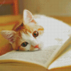 Cute Cat And Books Diamond Paintings