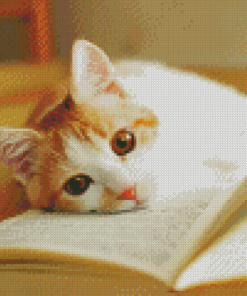 Cute Cat And Books Diamond Paintings