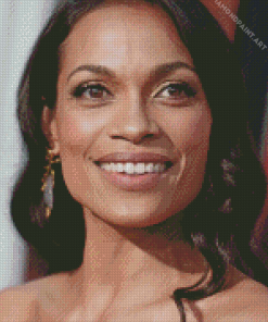 Cute Rosario Dawson Diamond Painting