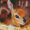 Cute Steenbok Diamond Painting