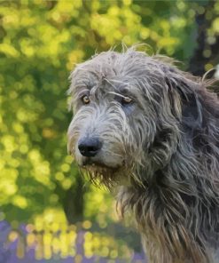 Cute Wolfhound Dog Diamond Painting