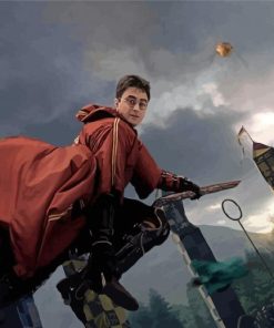 Harry Potter Quidditch Diamond Painting