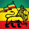 Jamaican Lion Flag Diamond Painting