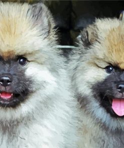 Keeshond Puppies Diamond Painting