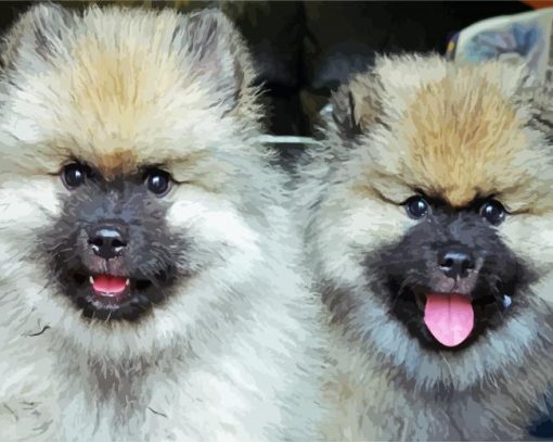 Keeshond Puppies Diamond Painting