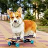 Little Dog Skateboard Diamond Painting