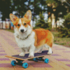 Little Dog Skateboard Diamond Painting