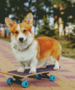 Little Dog Skateboard Diamond Painting