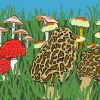 Morel Mushroom Illustration Diamond Painting